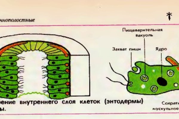 Кракен онион даркнет площадка